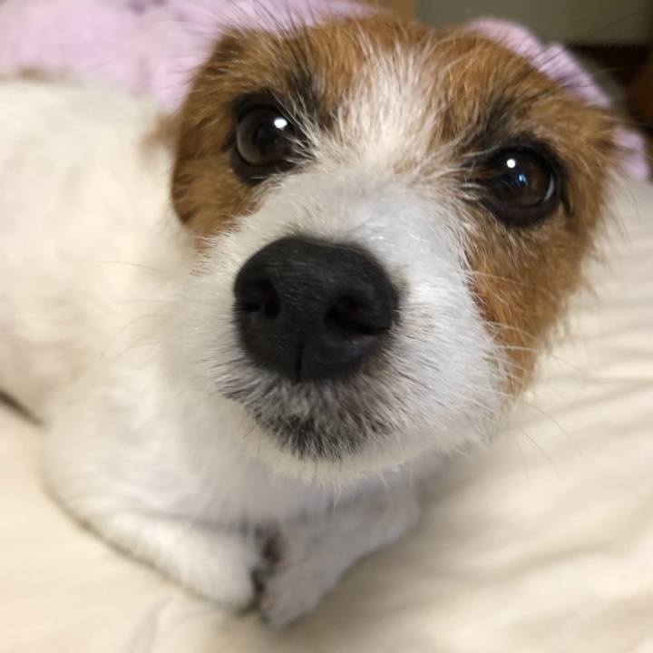 02007444 283a 44c6 95e4 7327605e8fb8 1534055423642