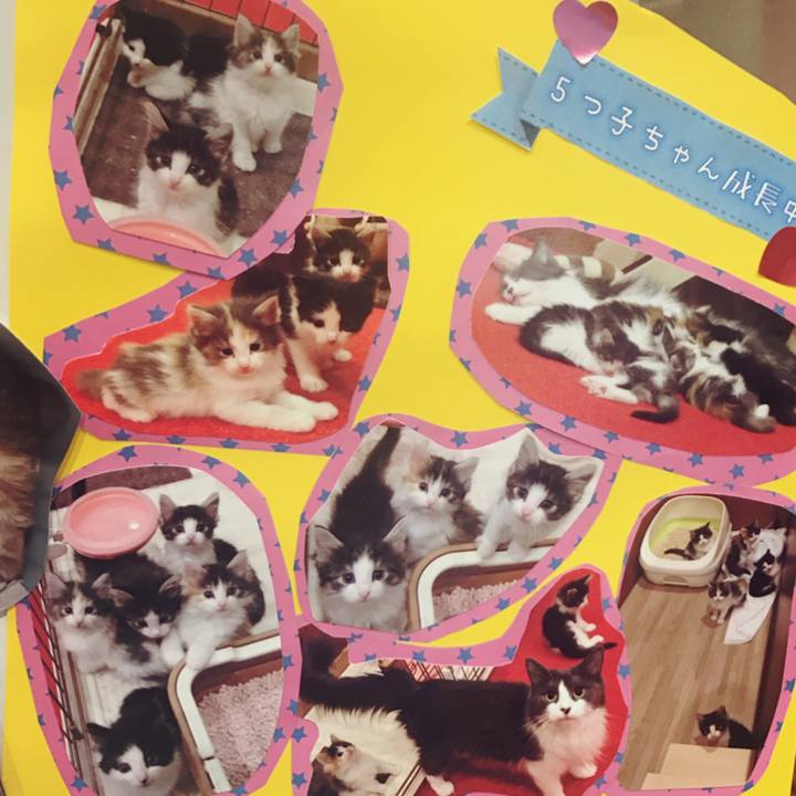 02007ab6 1680 483d abac 1f83f01e8d05 1517562536302