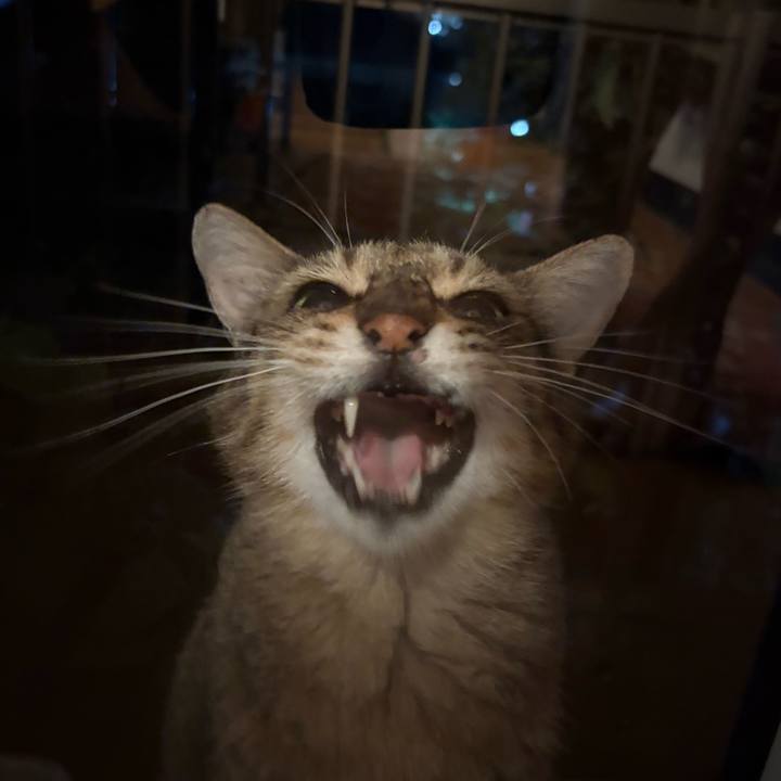 02008309 9489 4895 af22 1f3067db8fdf 1754832298253