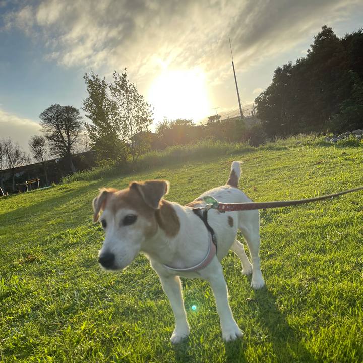 02008bd2 0fbb 4ff9 aa78 f32617c50e12 1629431788213