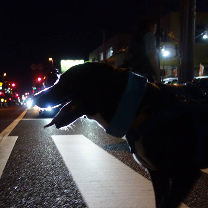 02008d92 245e 4325 bc18 0053007a9a85 1629888397091