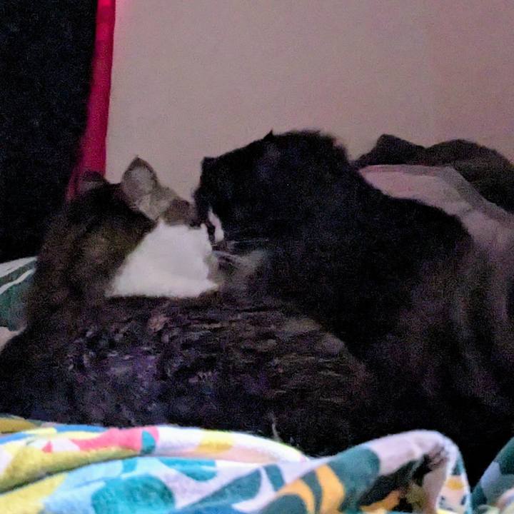 02008e65 f3a5 481a 9081 e2c91b627680 1755941902873