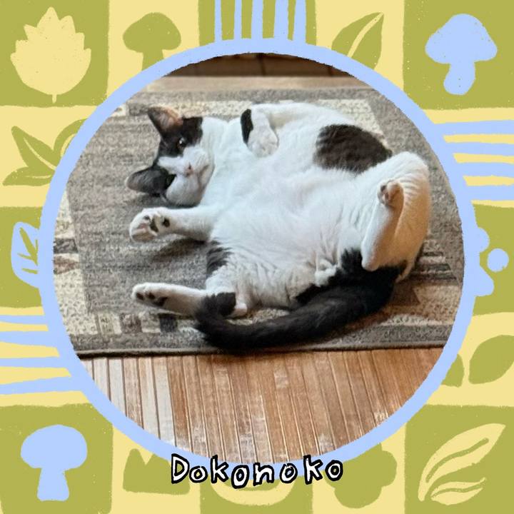 0200a613 b5fc 4294 b825 7483b04bcaff 1761101391836