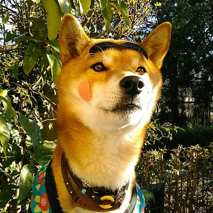 0200a863 2009 440a b4ca 6bf09b05b80f 1579586362841