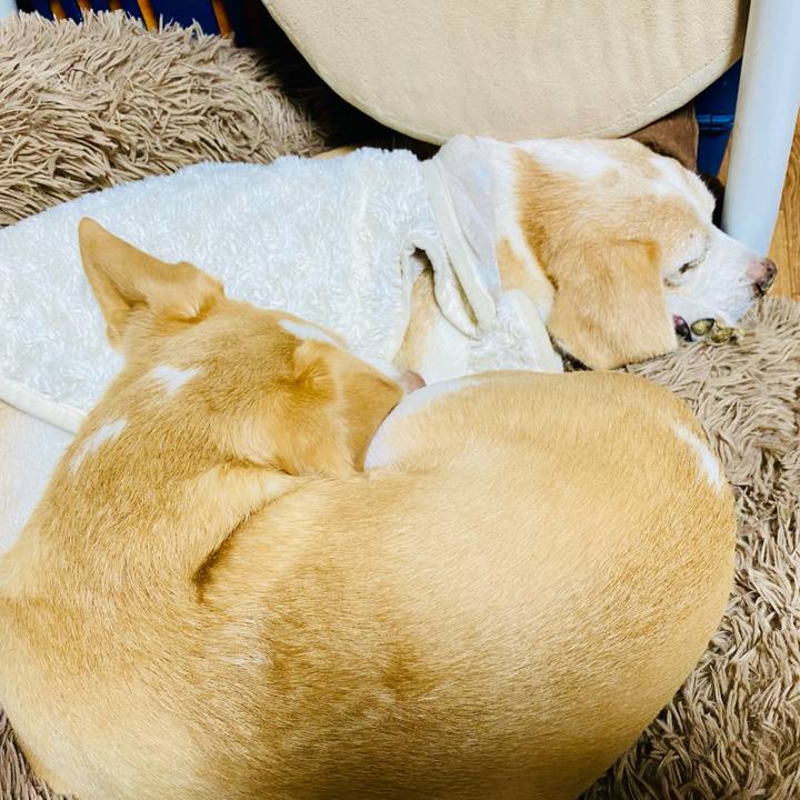 0200baf1 3970 40ae a58f 09b85e1d081a 1636190054913