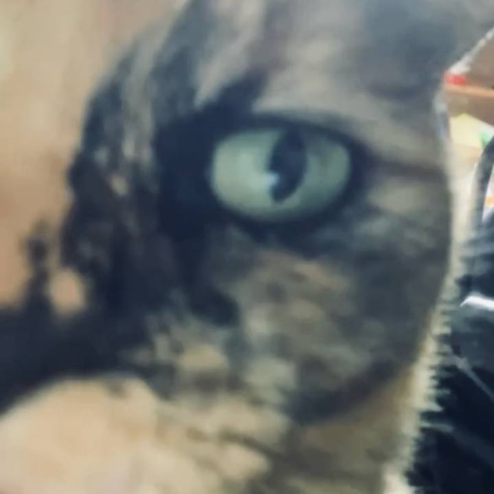 0200c2c3 17fb 407d 948c 7a1a6962747d 1731901072002