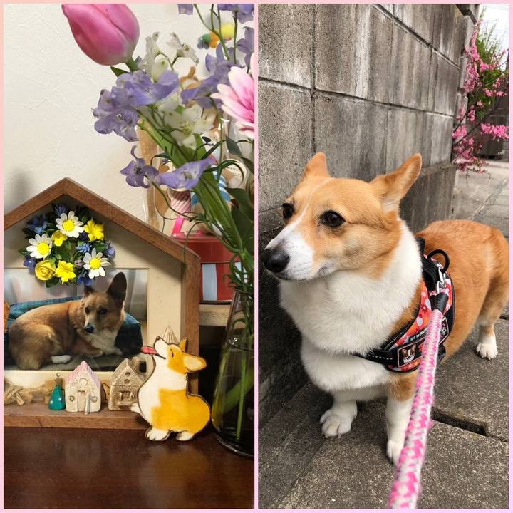 0200ed2f 53c9 4dee b2c6 17002ac7dae0 1744291003704