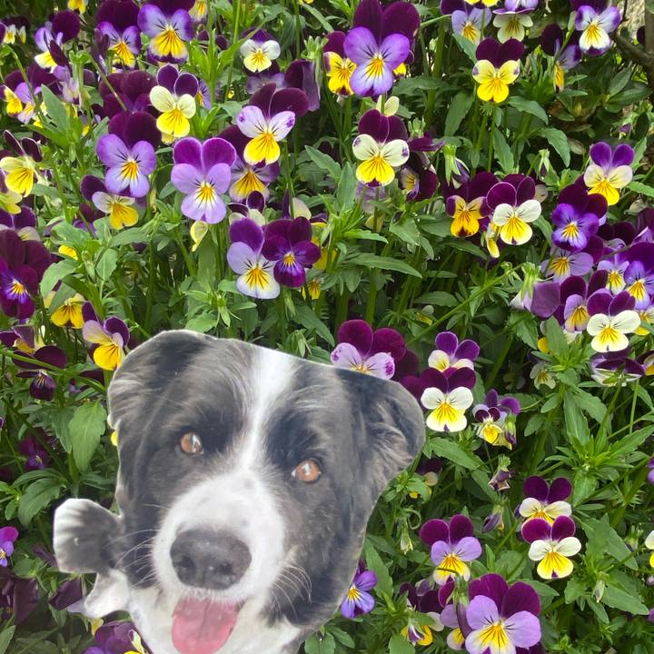 02011a73 1715 4856 8cad 1c91cad1fdc5 1745272950450