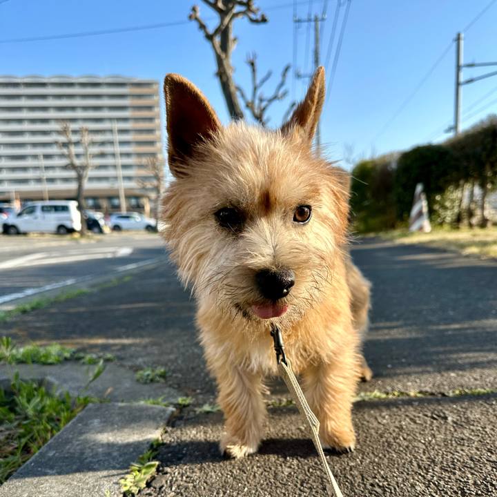 02011be1 d57b 4465 b03f e4707775e27f 1710979338044