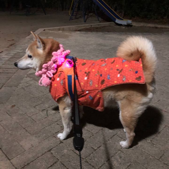 0201321a b412 400d 92ac 52aeed03b588 1608459571115