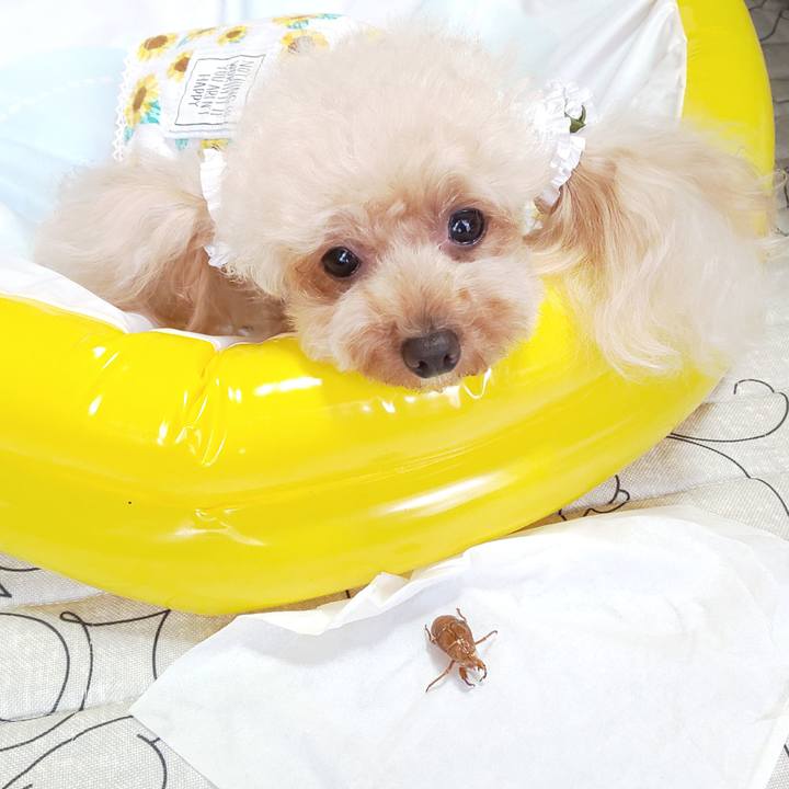 02018232 751b 46e1 9668 1439c33f89d3 1564700516703