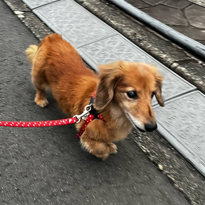 02018368 809f 4c4e 8d90 532da1ac6942 1654607973614