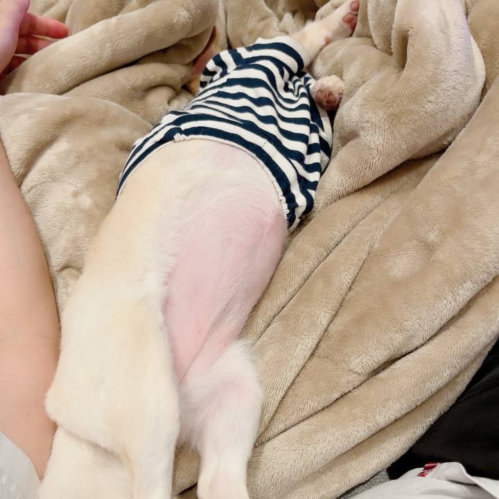 020191a1 d210 4627 856a addf2458e4d0 1721737312105