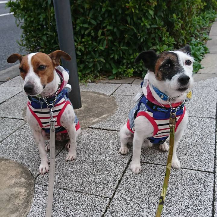 0201de06 7e8a 43d0 9cd4 ea46946930cf 1571176752643