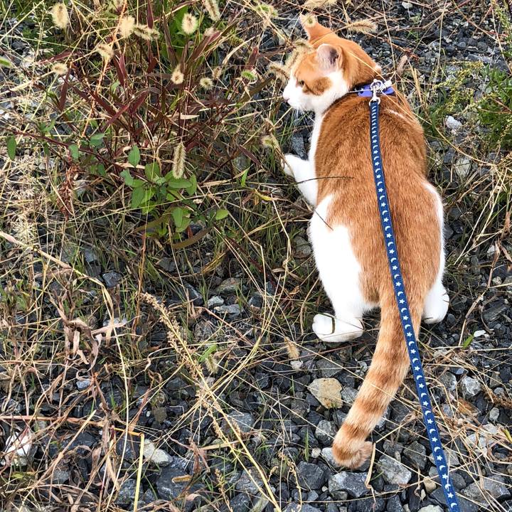 0201f6a1 fae6 4179 848b 025a971cf292 1539676214872