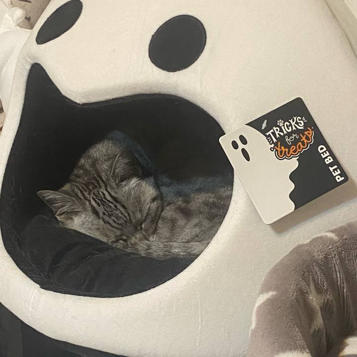 0201ff49 db36 4b31 a5ee 1b3b6ad9ca69 1742311157320