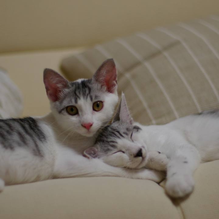 02021c2c 3347 43ff bfcf c27320e7c00d 1533820667717