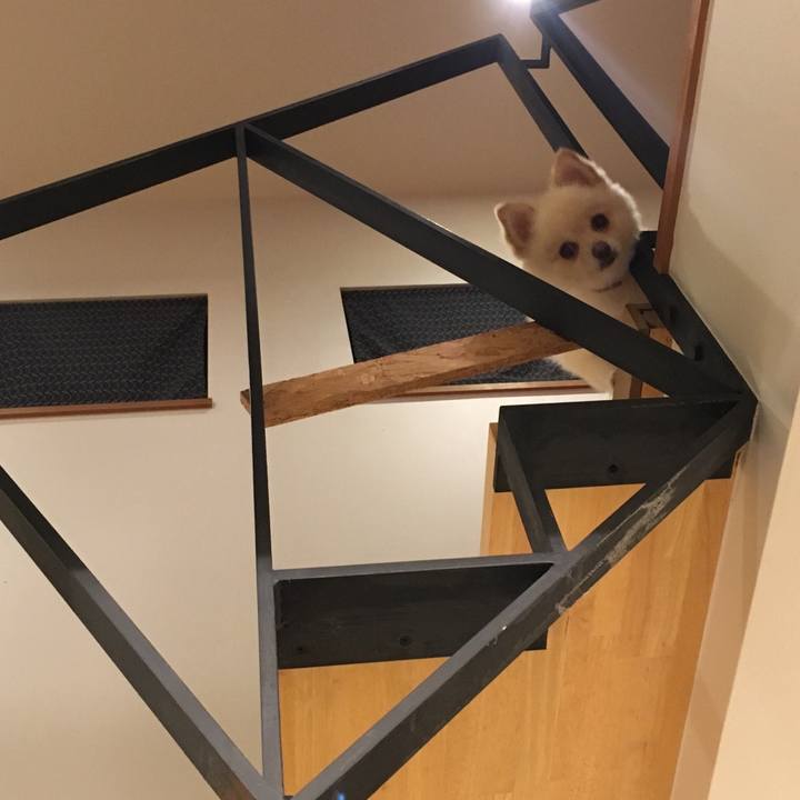 020223b0 d4f9 4b82 a8ca db3c07faba24 1536751399469