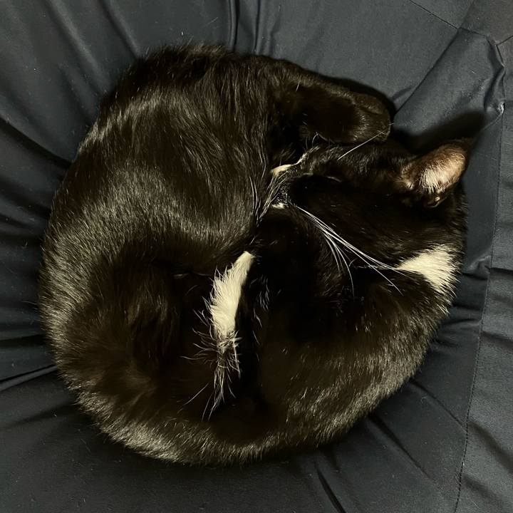 02023e79 96d0 4e85 a1b0 b9feececd21b 1672889954566