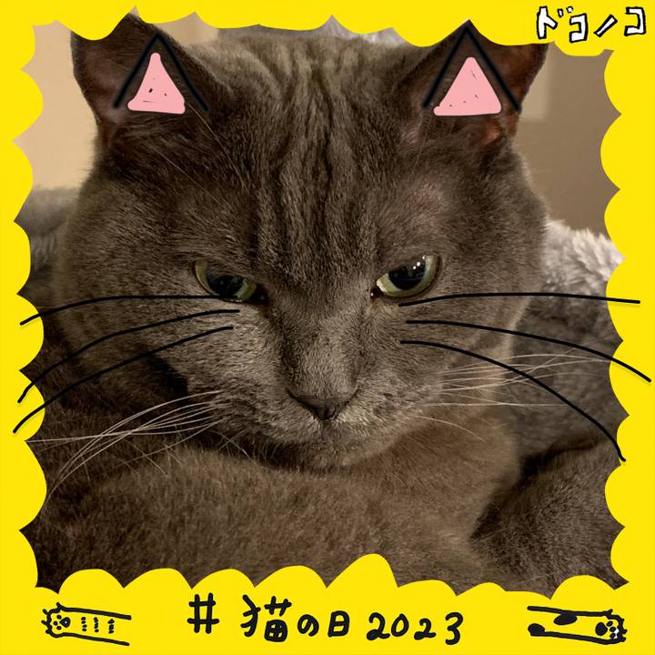 020250ed 3992 46a4 af37 3f40f026ea54 1677057357853