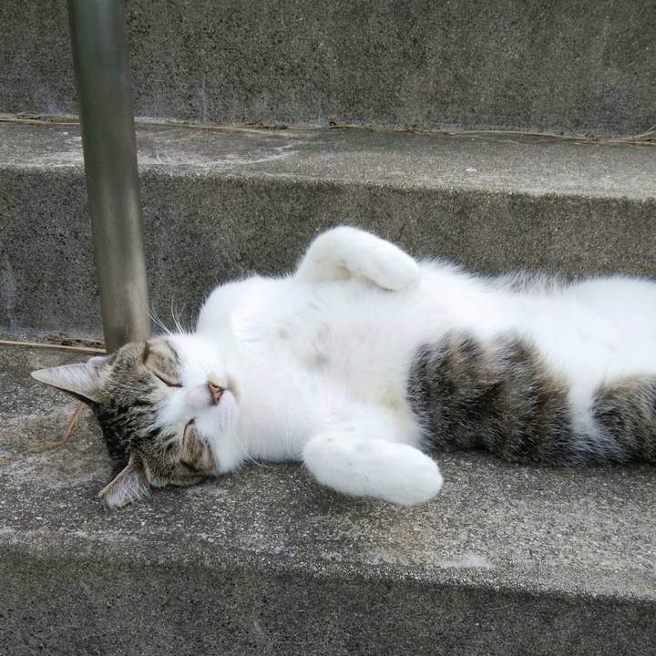 02025c97 6eec 4ce7 80b9 98b6f8a064f1 1536319451809