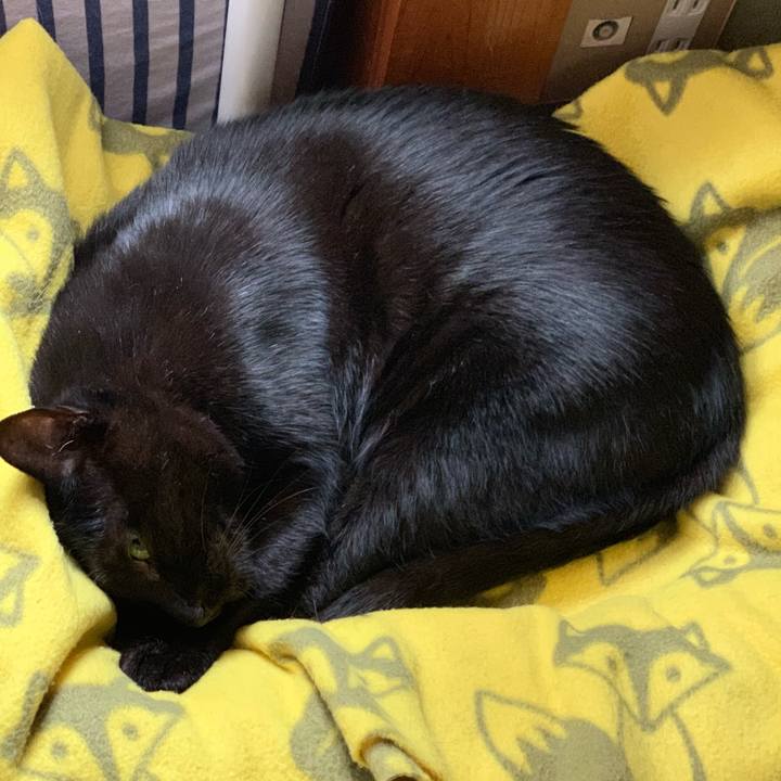 020284af 884c 4c1b a3fb c7332c4f5ce2 1539737552992