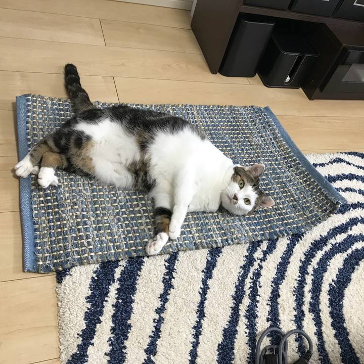 0202883d 052c 49dc b24c ac48d8eccad4 1532834267185