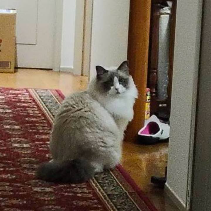 02029a6f 0dcb 4352 949d 53f26b5d4eda 1757806812636