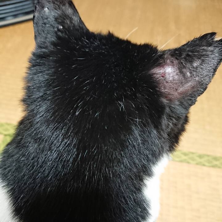 0202b1f4 0eb0 4904 a871 e7416217b0c9 1580961295867