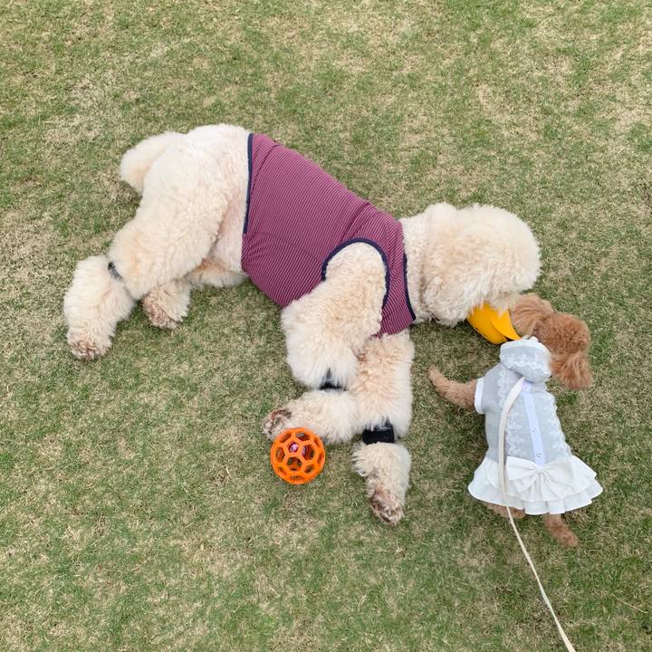 0202e0a6 4ed6 430a 8411 d68b9a37c958 1776226395892