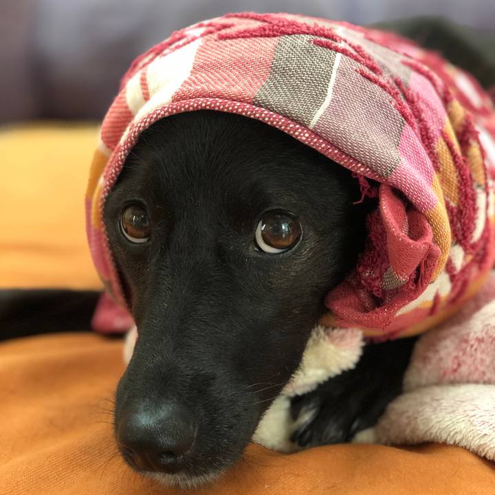 020309aa ba7c 478b 86a7 e4403c865517 1602373688744