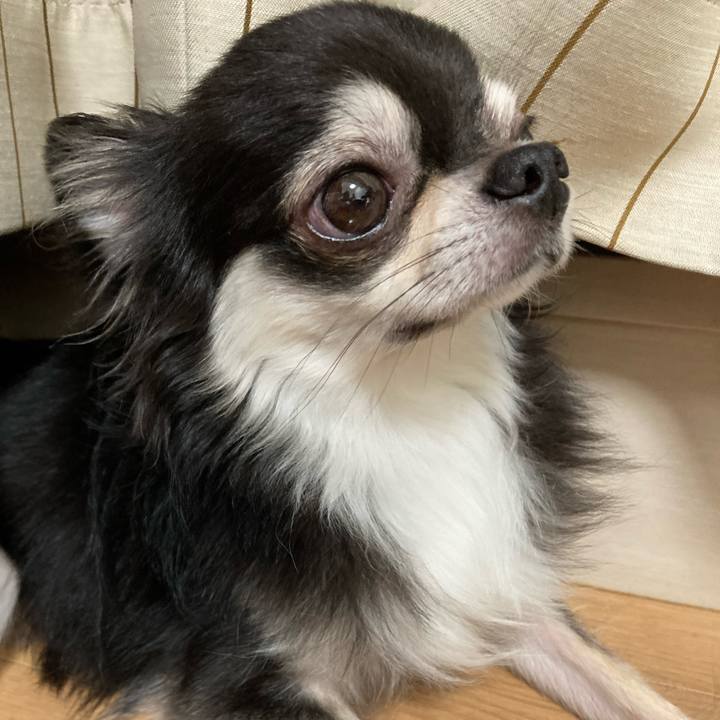 0203126e 6e56 4b1b 98f5 1af195f6bfac 1664029951605