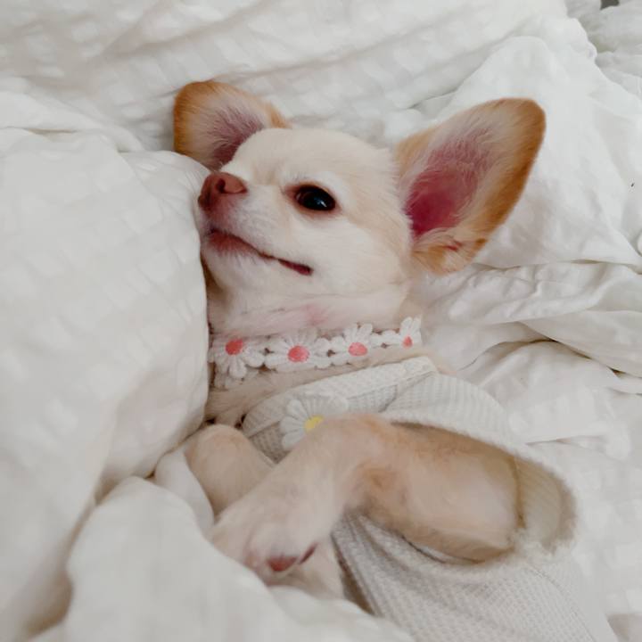 0203271d a541 48ec 91d2 2be5ebf58265 1722317054984