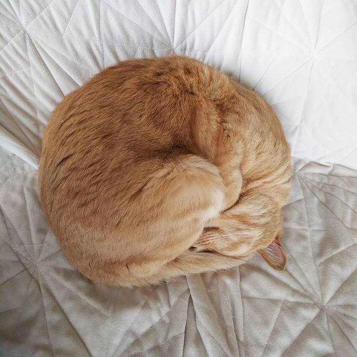 02034ee3 97d6 4bbf 8982 89c587e1b1f7 1684628256897