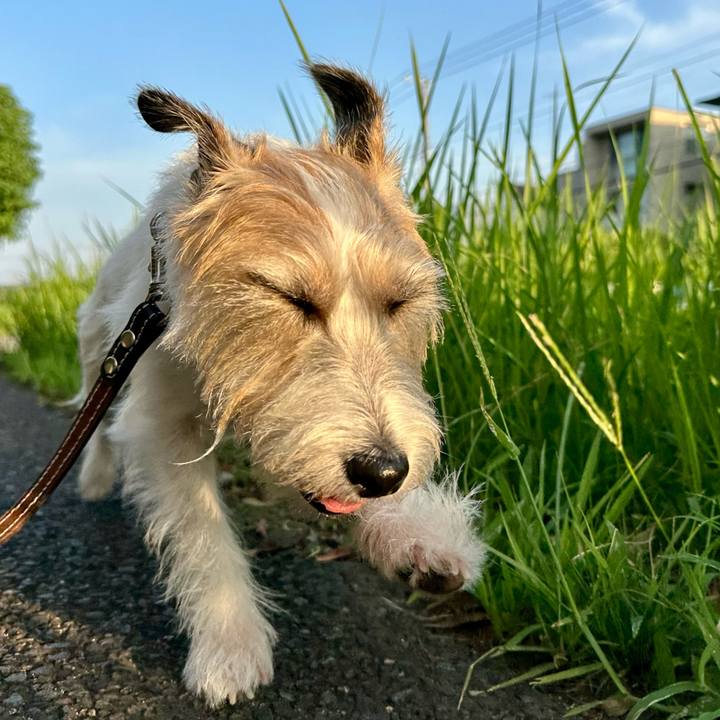 020377ab 08ff 4440 a40b 284e20d205be 1755670880574