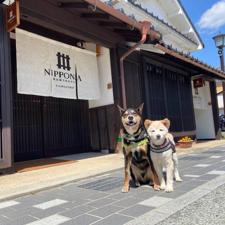 02038188 7015 4099 a3a0 425f343d120d 1681124820076