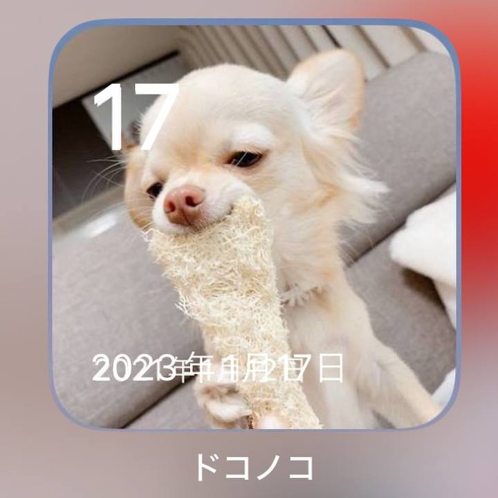 020385af 118b 4009 ad2f 5ba208f5455f 1705482695407