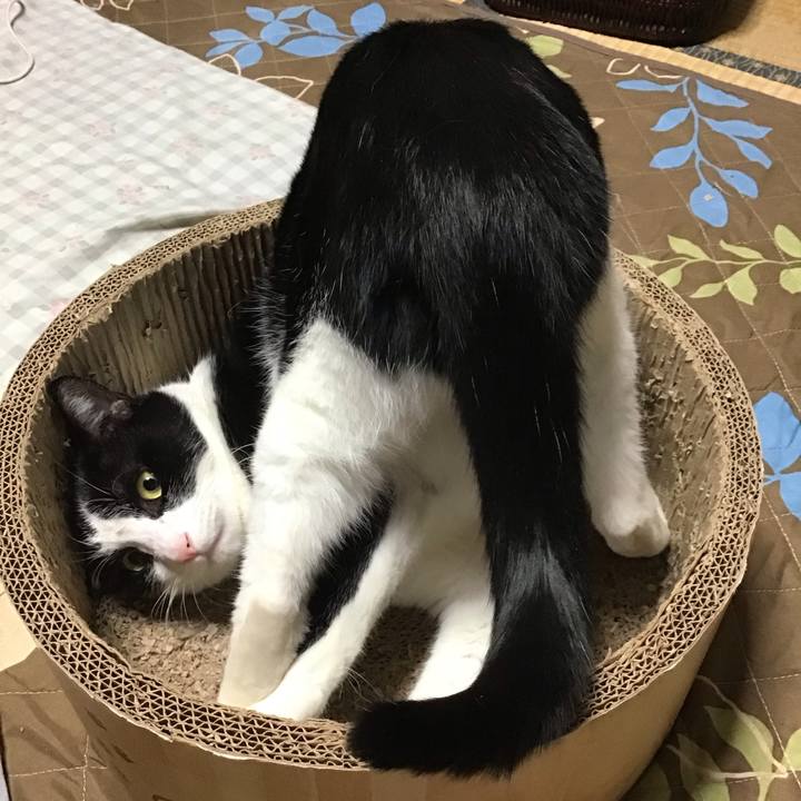 02038a4e 17a3 47ac af88 5046bcef3be9 1733389029742