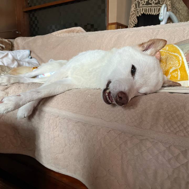 0203ac18 75ca 4ed2 af89 94dadbbd3427 1663569144599