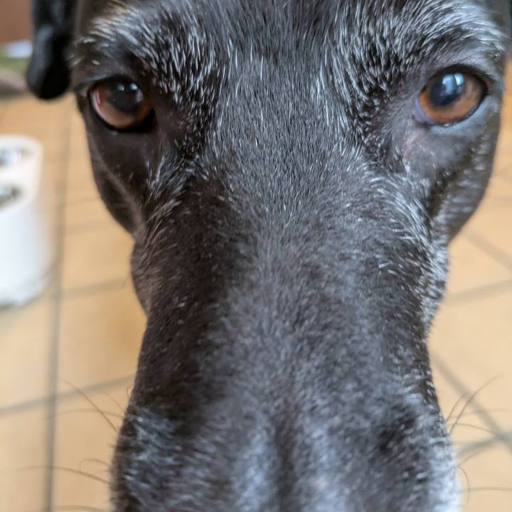 0203b4dd b7ed 4721 b91d 940d14507c2b 1748820875929