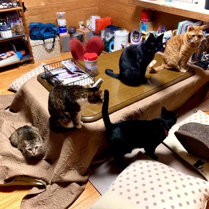 0203ca2f 97c7 4de6 918c 5b79dc1697fe 1578919555647