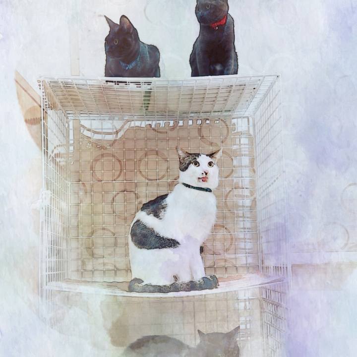 0203cfc6 c4a2 4d66 8745 0e4e0eef3186 1510285709051