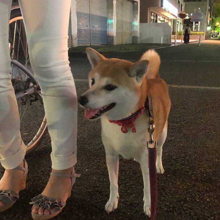 0203d08a aa08 4444 be8b 2d42c4e259c6 1535632109688