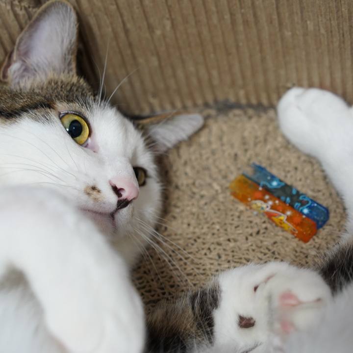 0203fb51 06b1 49d2 9193 4e9d49a4df93 1570752032334