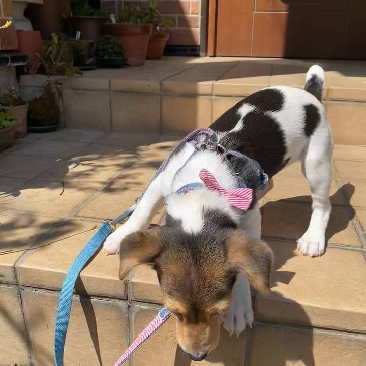 02042dd0 c0a9 467f 832f 4af53a635fcf 1743928181146