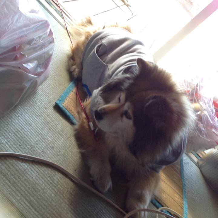 02043703 e617 4bc2 a85b 2ba2d3d07fc4 1642721315987