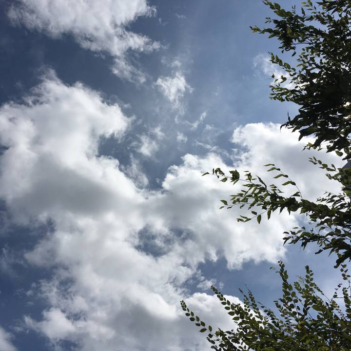 0204a404 6b01 49b1 bda3 c02d45319b05 1600416166211
