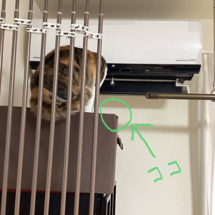 0204a55b 1a68 4344 86cd 70313a728fdb 1672112723688