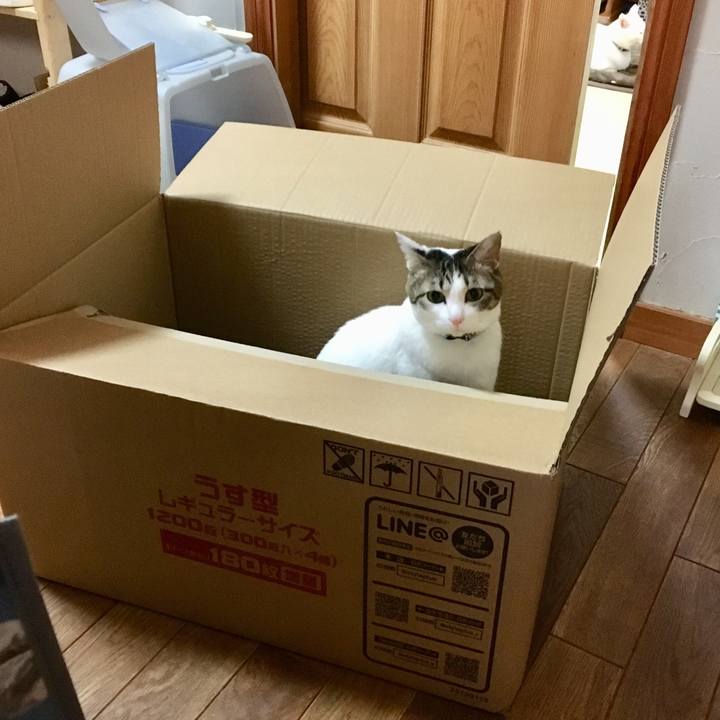 0204e16c c411 490e b7aa e7af1b8e15d7 1549626947190