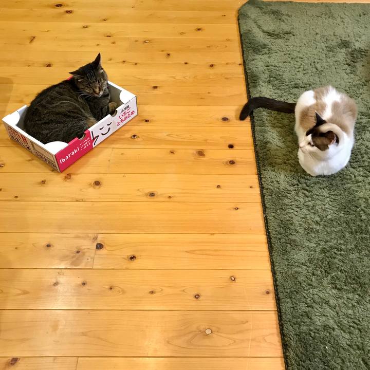 0204e2a9 97a4 4156 9d7a 612c46640935 1590927031076